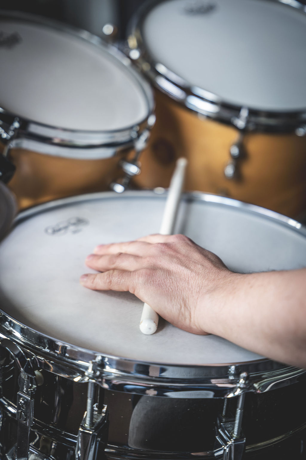 Talesoftani-dresden--3